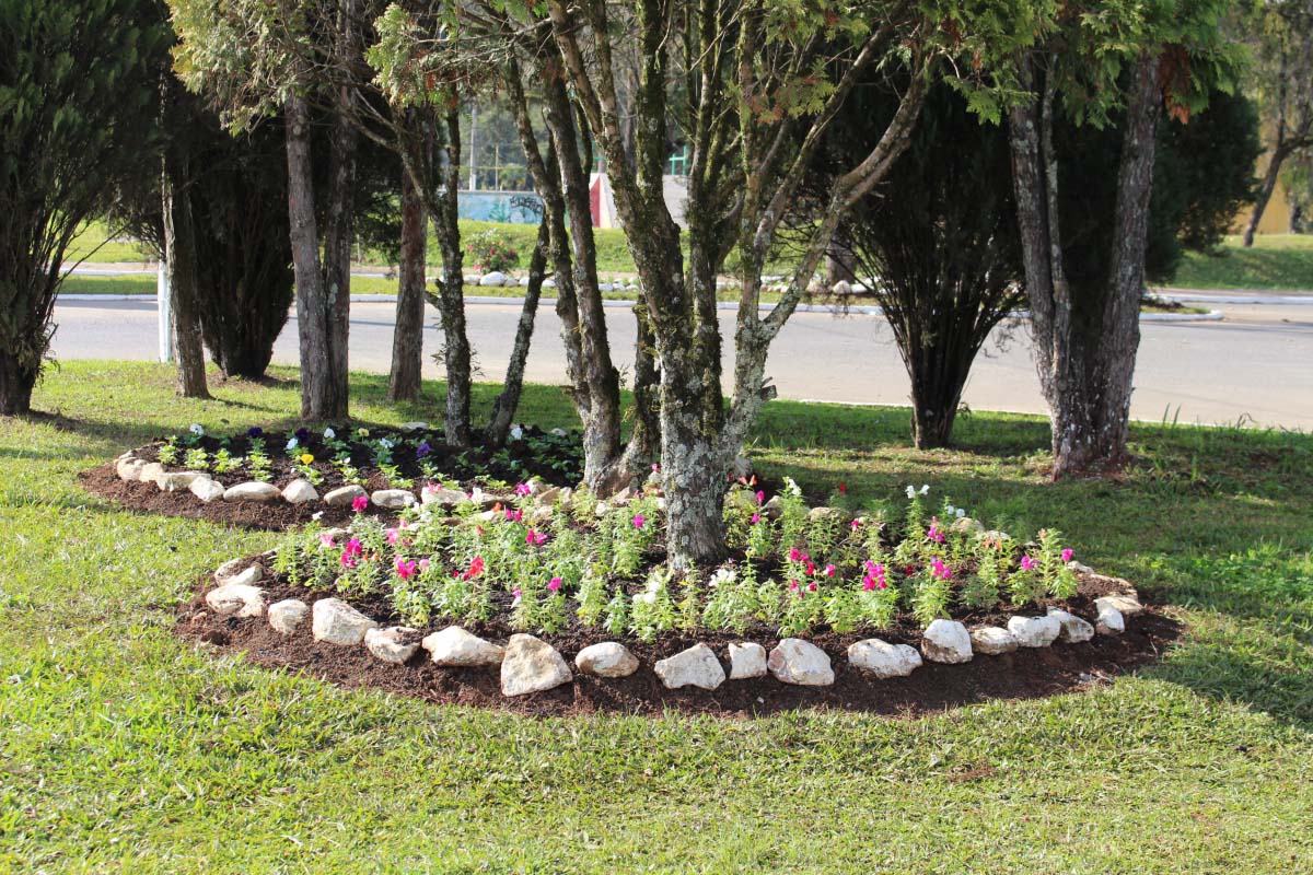 Plantio de flores embeleza a cidade de Três Barras