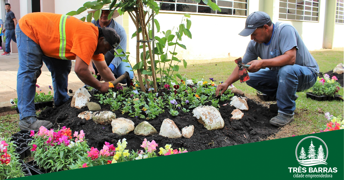 Locais públicos ganham novas cores com o plantio de fores de inverno