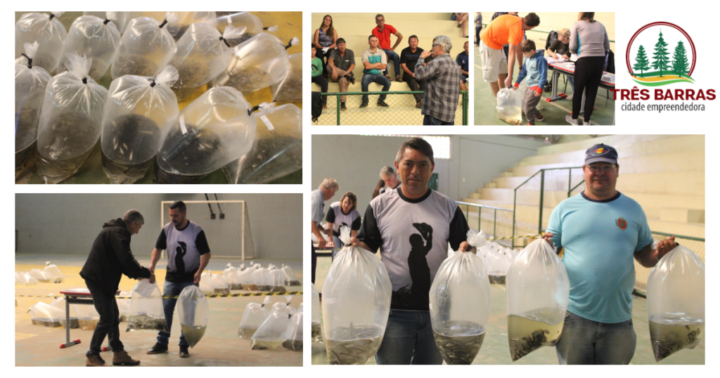Agricultura de Três Barras e Epagri entregam mais de 28,8 mil alevinos a 45 produtores rurais