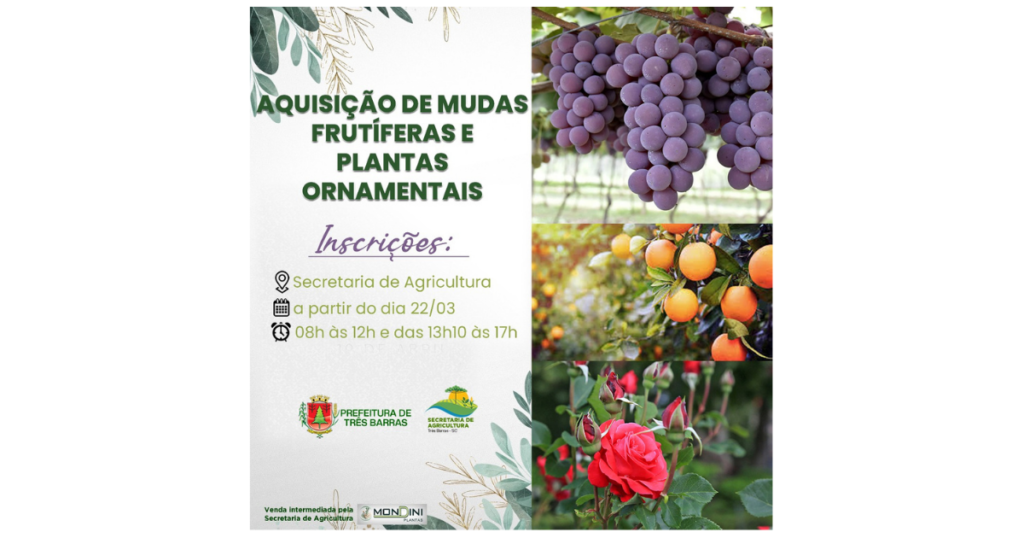 Pedidos para aquisição de mudas frutíferas e ornamentais começam na terça-feira