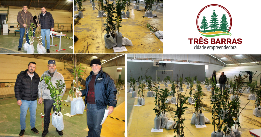Programa Pomares Caseiros entrega mais de 1,3 mil mudas frutíferas em Três Barras