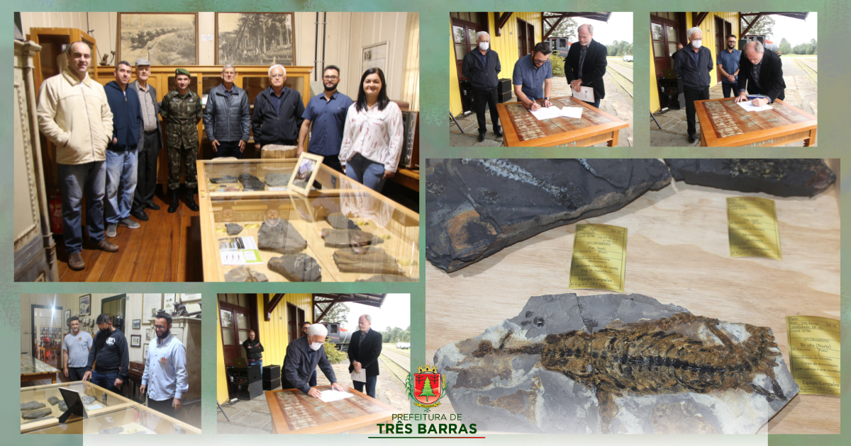 Fósseis de mesossauro já estão em exposição no Museu de Três Barras