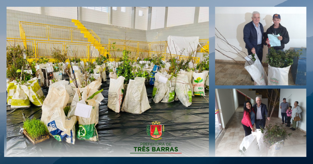 Agricultura faz a entrega de 1.041 mudas de plantas frutíferas e ornamentais