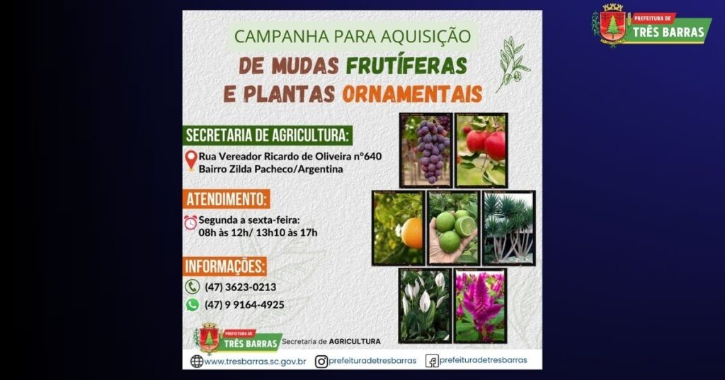 Agricultura está com inscrições abertas para aquisição de mudas frutíferas e plantas ornamentais