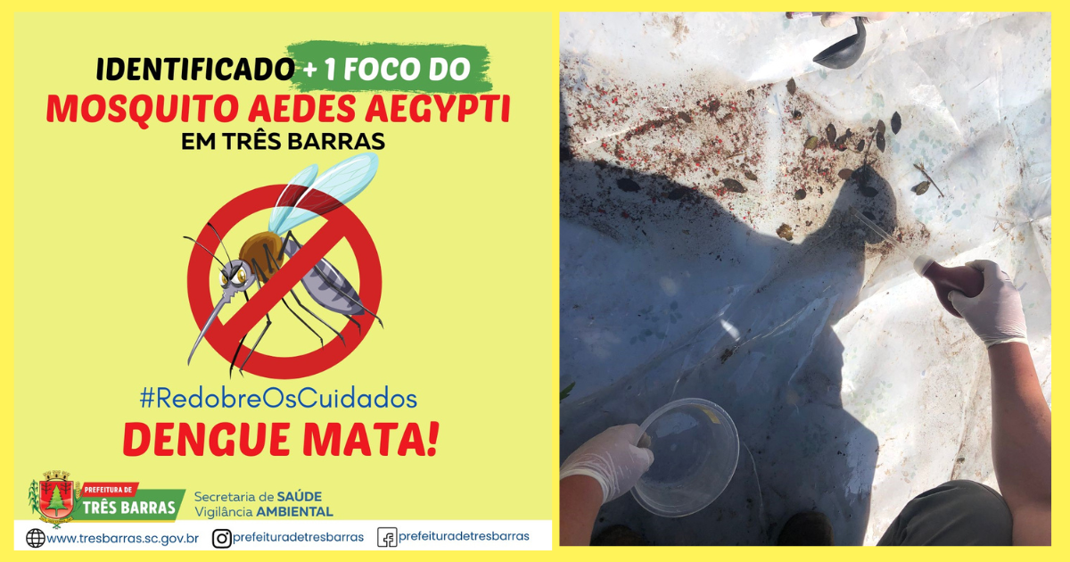 Alerta: identificado um foco do mosquito transmissor da dengue no distrito de São Cristóvão