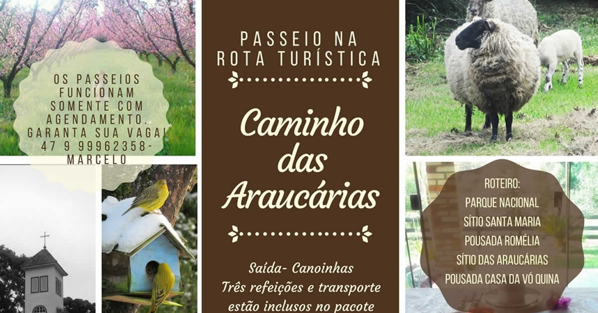 Caminhos das Araucárias