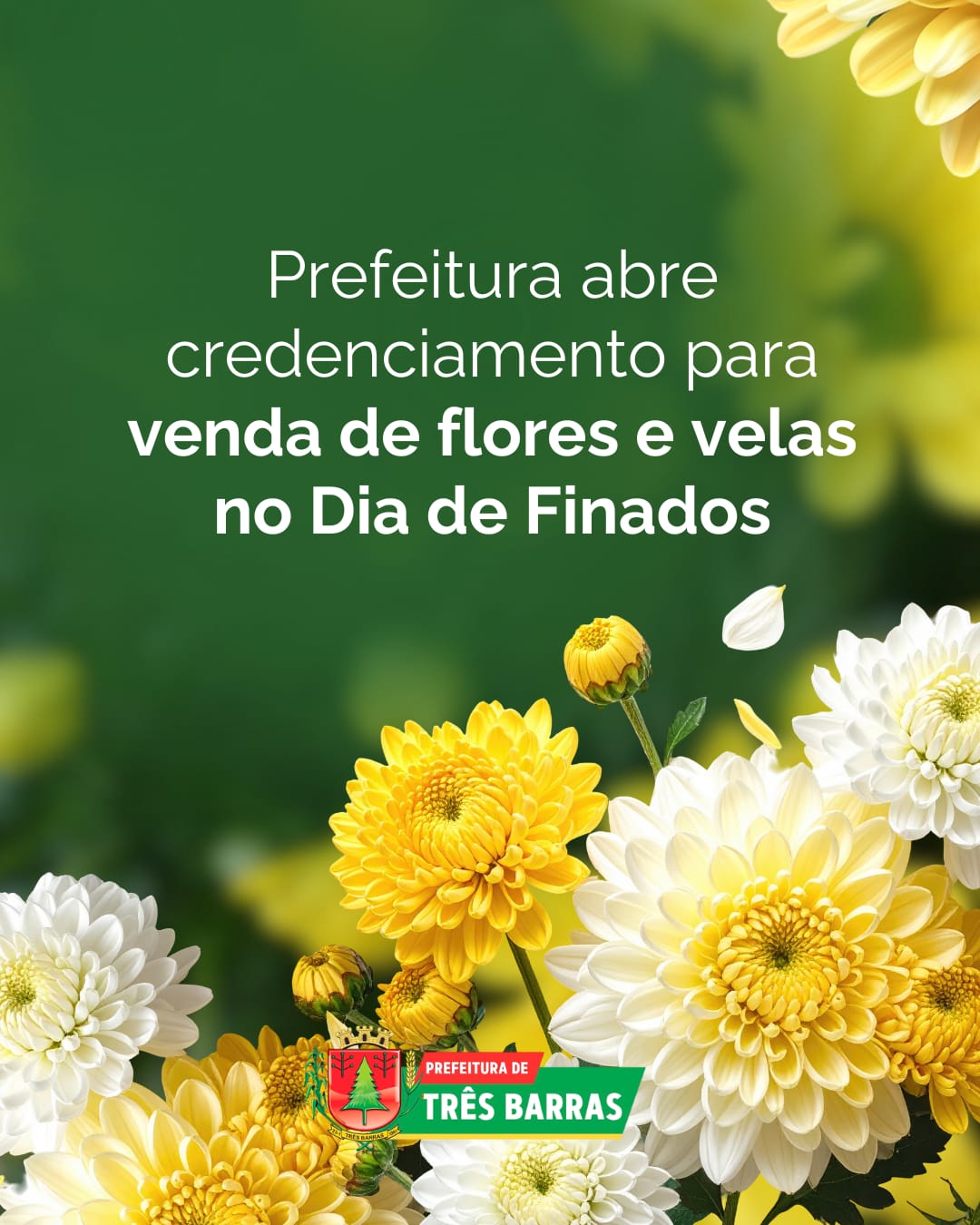Prefeitura de Três Barras abre credenciamento para comerciantes comercializarem flores e velas no Dia dos Finados