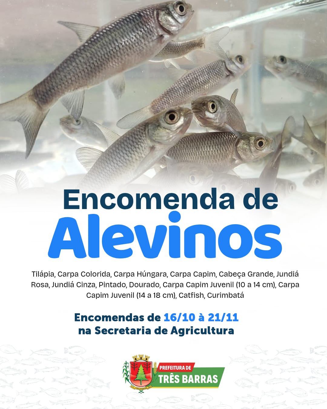 Abertas as inscrições para a aquisição de alevinos em Três Barras; encomendas seguem até o dia 21 de novembro