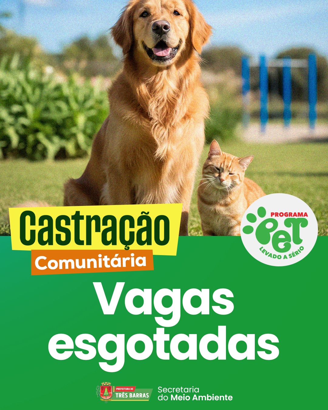 Pet Levado a Sério: Vagas para as Castrações Comunitárias em Três Barras já foram esgotadas