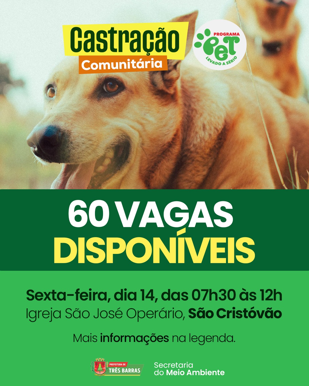 Atenção: Três Barras divulga vagas disponíveis para a Campanha de Castração Comunitária