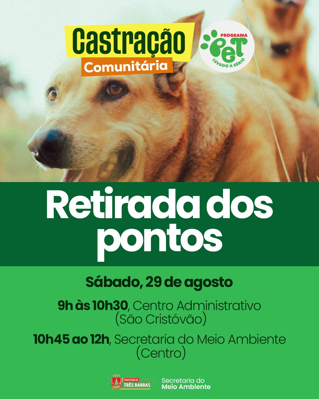 Atenção, tutores! Etapa final do cuidado e bem-estar dos animais atendidos pelo Programa Pet Levado a Sério Atenção, tutores! Etapa final do cuidado e bem-estar dos animais atendidos pelo Programa Pet Levado a Sério