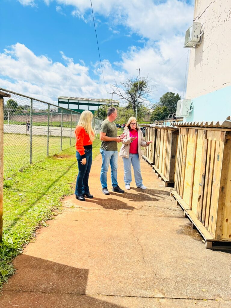 Veterinário realiza visitas nos canis e gatis dos abrigos públicos
