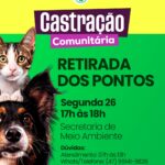 Atenção: Retirada de pontos dos animais castrados acontece nesta segunda-feira (26)