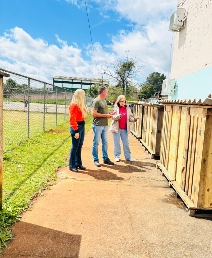 Veterinário realiza visitas nos canis e gatis dos abrigos públicos