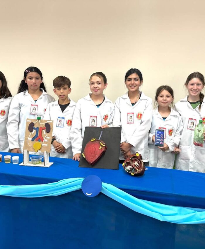 Educação: Escola Guita Federmann realiza Feira do Conhecimento com estudantes