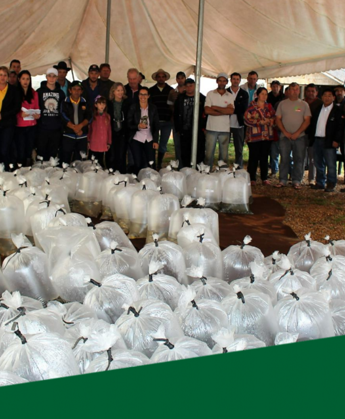 Agricultura de Três Barras e Epagri fazem a entrega de 30,4 mil alevinos a produtores rurais