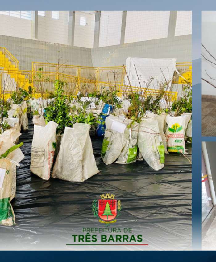 Agricultura faz a entrega de 1.041 mudas de plantas frutíferas e ornamentais