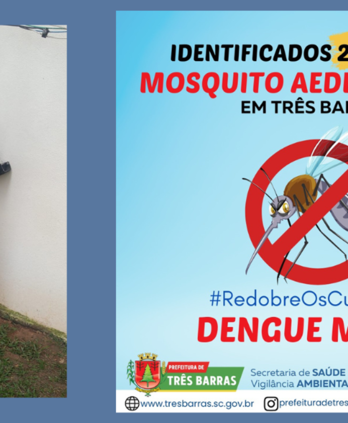 Alerta: dois focos do mosquito transmissor da dengue são identificados em Três Barras