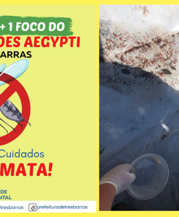 Alerta: identificado um foco do mosquito transmissor da dengue no distrito de São Cristóvão