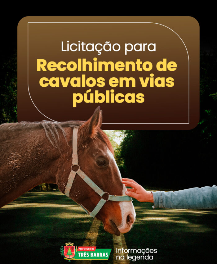 Três Barras abrirá em breve Processo de Licitação para recolhimento de cavalos em vias públicas
