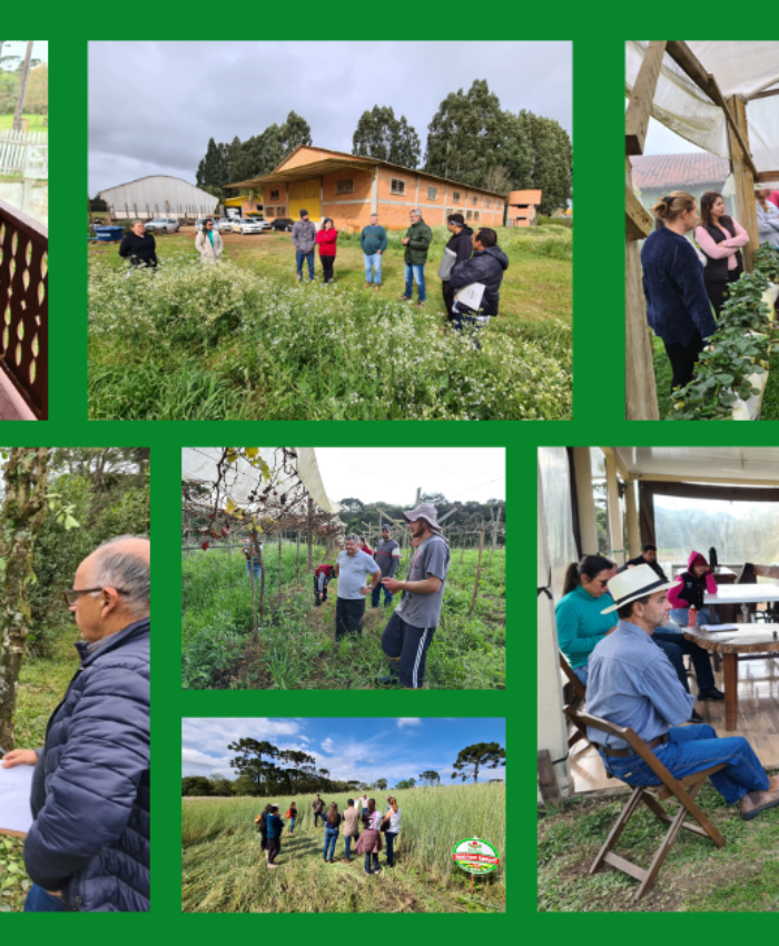 Epagri divulga balanço dos atendimentos prestados aos agricultores de Três Barras em 2022