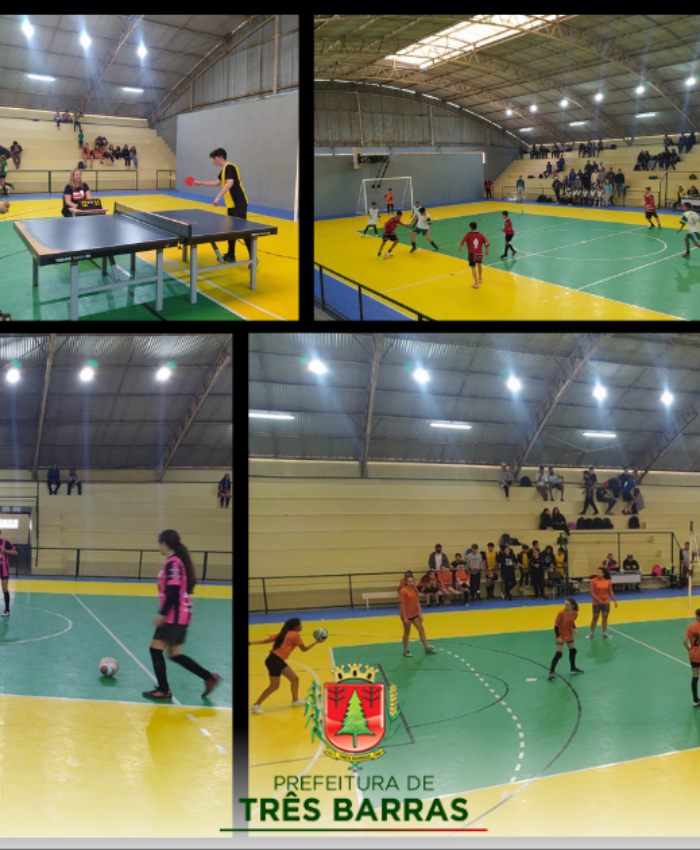 JESC 12 a 14 anos: EBM Guita Federmann se classifica em quatro modalidades para o microrregional