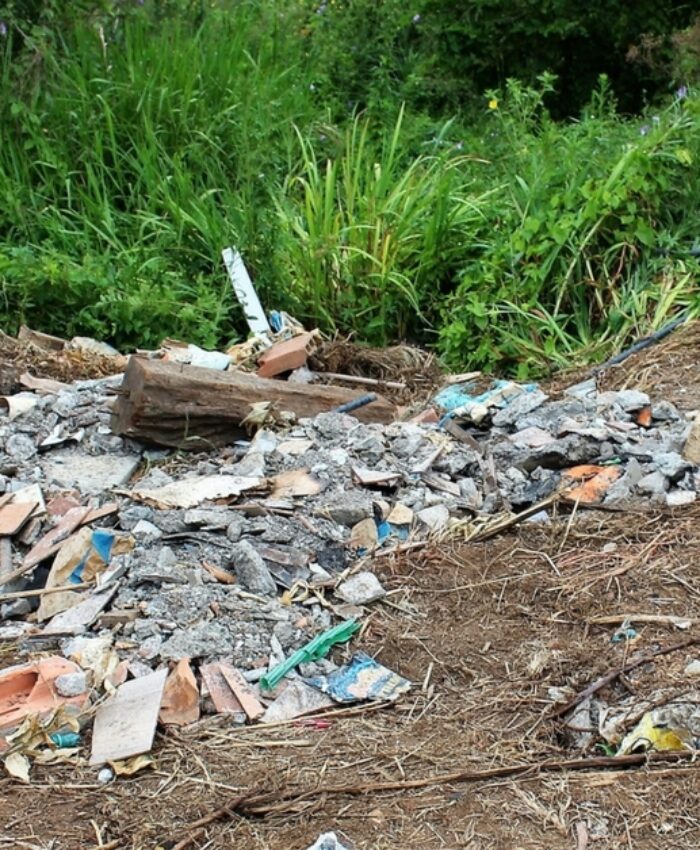 Lixo volta a ser jogado no entorno de rio após limpeza concluída na segunda-feira