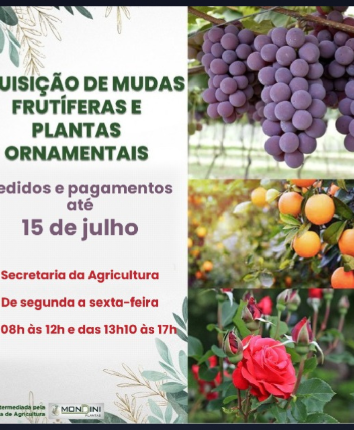 Pedidos e pagamentos para compra de mudas frutíferas e plantas ornamentais seguem até 15 de julho