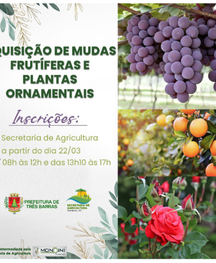 Pedidos para aquisição de mudas frutíferas e ornamentais começam na terça-feira