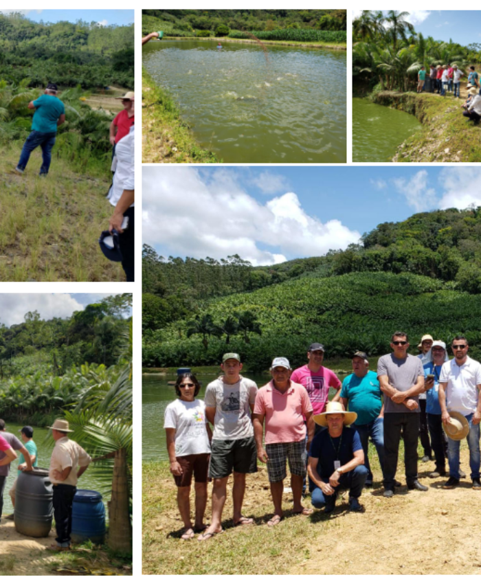 Piscicultores participam de visita técnica a pequenas propriedades em Massaranduba