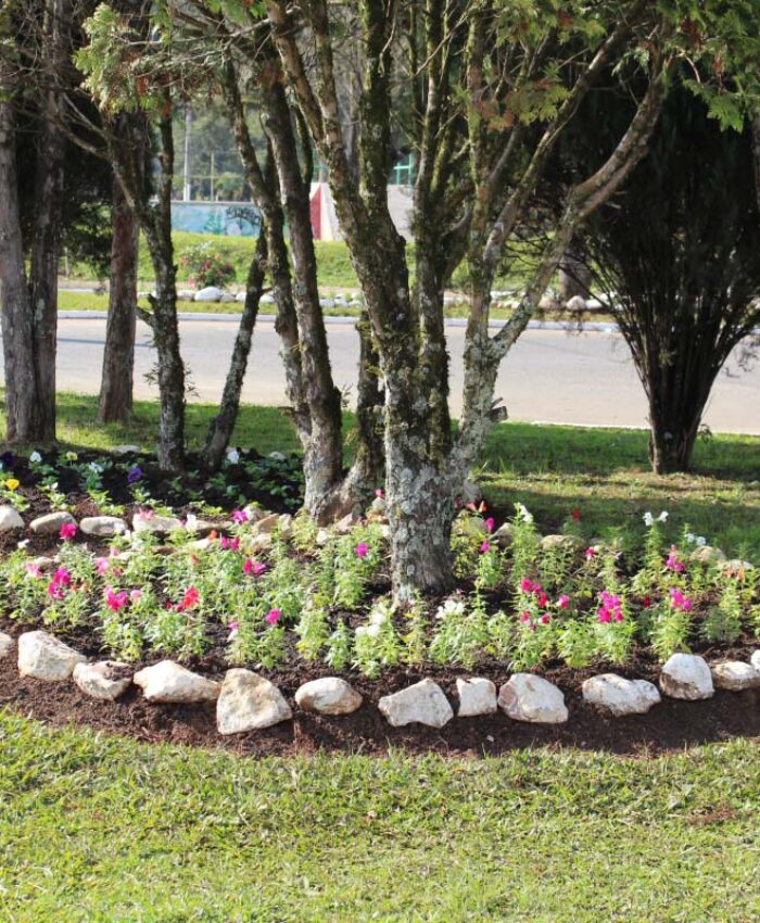 Plantio de flores embeleza a cidade de Três Barras