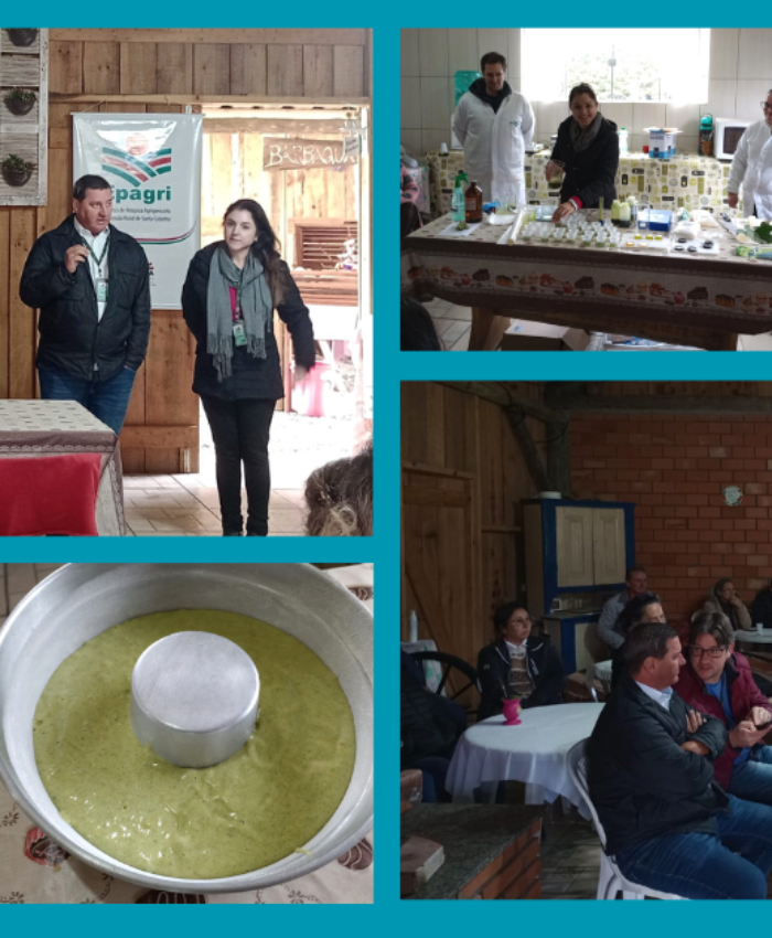 Pousada no interior de Três Barras sedia evento sobre “Turismo de Experiência e Erva-Mate”