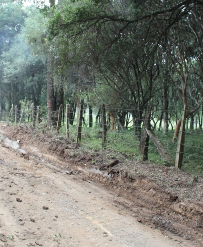 Prefeitura retoma obras no desvio da Colônia Tigre