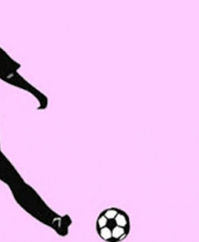 REAL FÊNIX FUTSAL FEMININO SAGRA-SE CAMPEÃ EM TORNEIO PARANAENSE