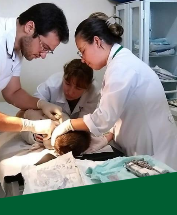 Três Barras é o município que mais investe em Saúde por habitante na região