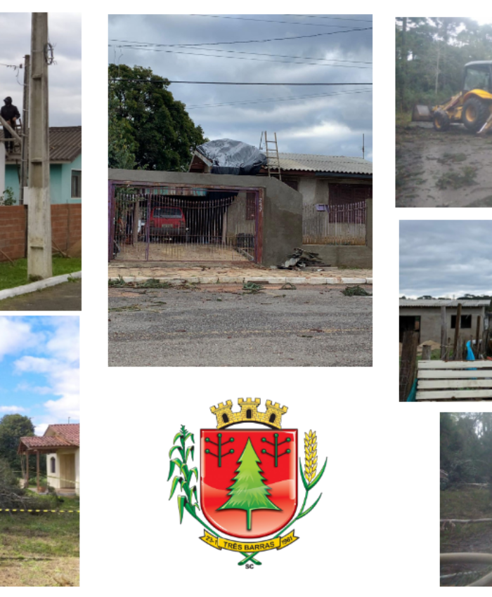 Vendaval derruba árvores e causa destelhamento em 42 casas de Três Barras