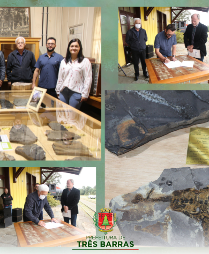 Fósseis de mesossauro já estão em exposição no Museu de Três Barras