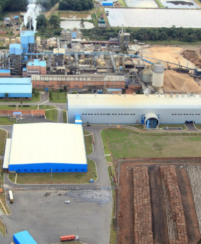 WestRock anuncia expansão de Fábrica de Papel em Três Barras